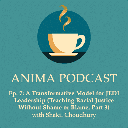 Episode 7: A Transformative Model for JEDI Leadership (Teaching Racial Justice Without Shame or Blame, Part 3)