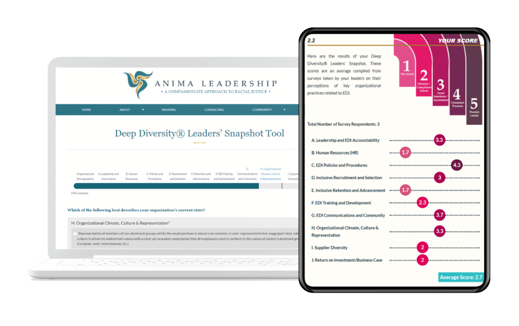 Deep Diversity Leaders' Snapshot examples a.k.a. a DEI audit, inclusion audits or diversity and inclusion audit.